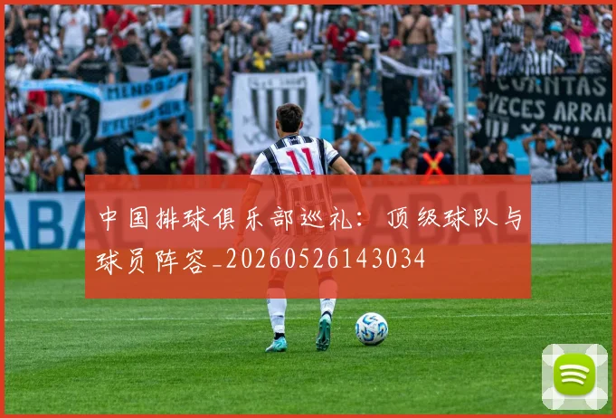 中国排球俱乐部巡礼:顶级球队与球员阵容_20260526143034
